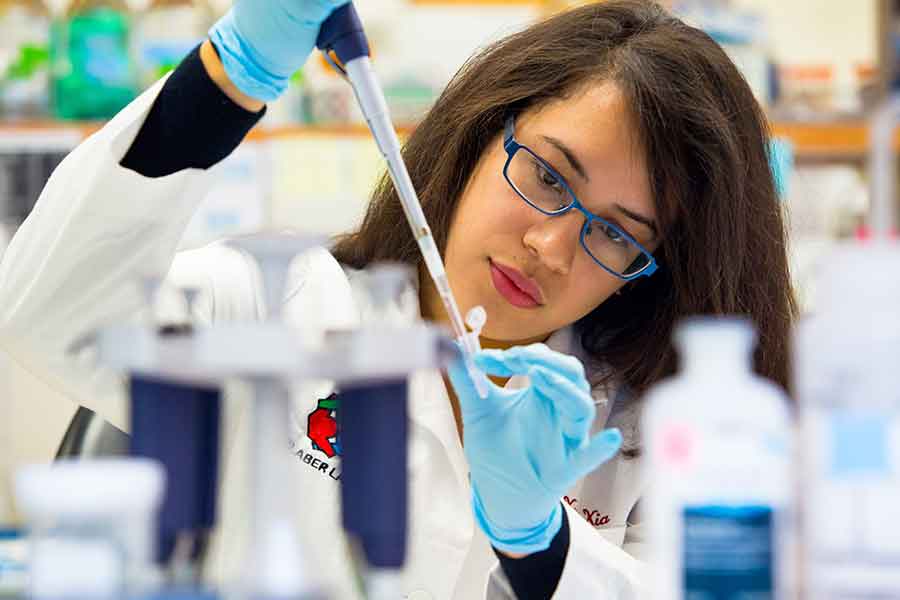 FSU Gains Preeminent status